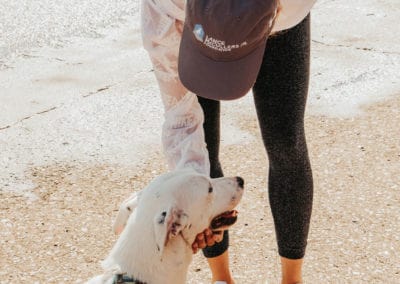 4th Annual BARK for BARC Pet Walk 2019