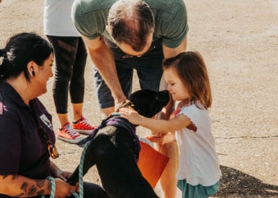 4th Annual BARK for BARC Pet Walk 2019