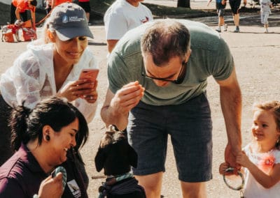 4th Annual BARK for BARC Pet Walk 2019