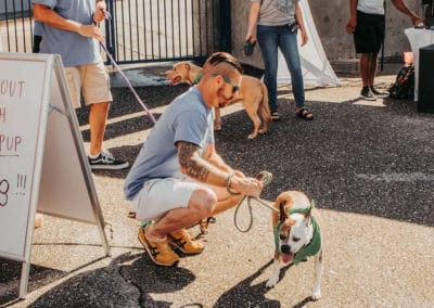 4th Annual BARK for BARC Pet Walk 2019