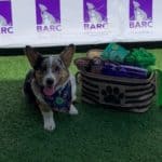 2022 Kirby Ice House 15