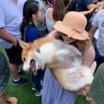 2022 Kirby Ice House 6