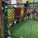 2022 Kirby Ice House 7