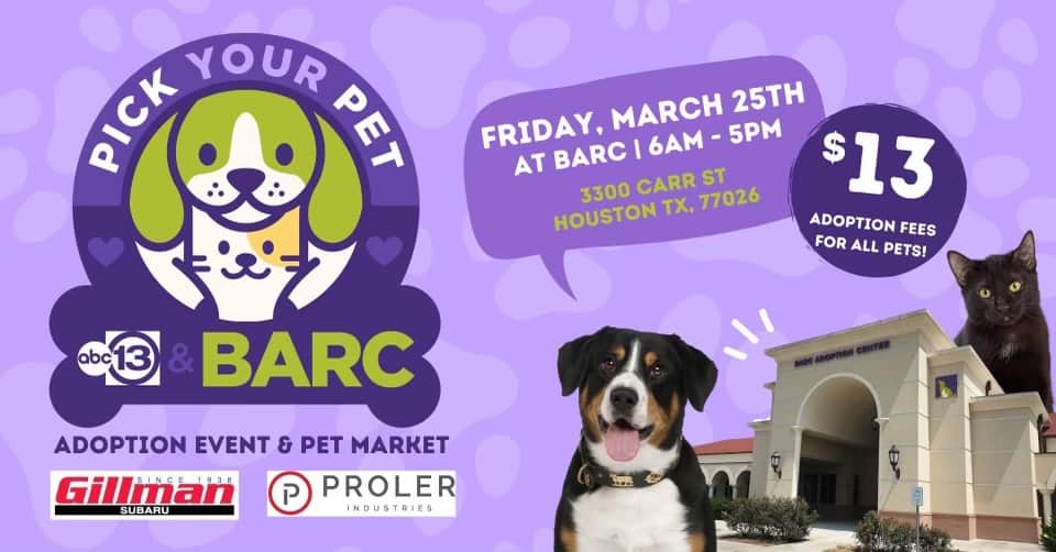 BARC Animal Shelter & Adoptions