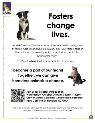 Foster Introduction