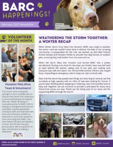 thumbnail of BARC February 2025 Newsletter