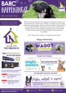 thumbnail of BARC Newsletter December 2021