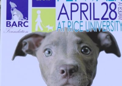 3rd Annual BARK for BARC Pet Walk 2018