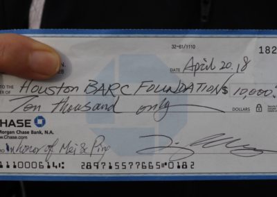 3rd Annual BARK for BARC Pet Walk 2018