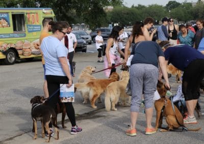 3rd Annual BARK for BARC Pet Walk 2018