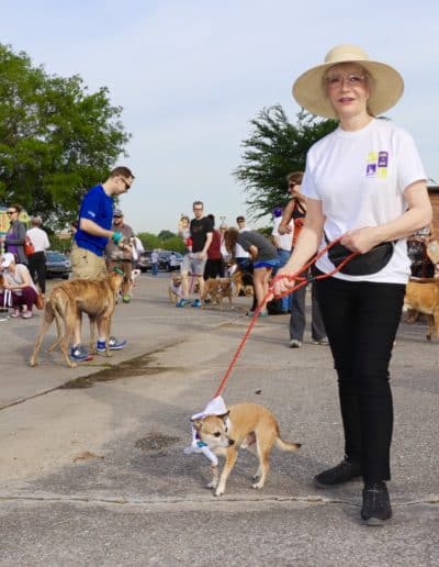 3rd Annual BARK for BARC Pet Walk 2018