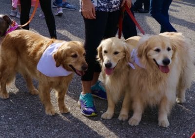 3rd Annual BARK for BARC Pet Walk 2018