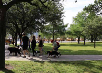 3rd Annual BARK for BARC Pet Walk 2018