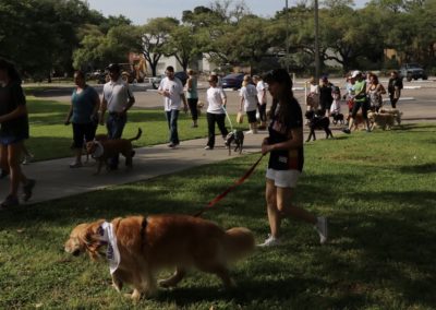 3rd Annual BARK for BARC Pet Walk 2018
