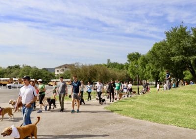3rd Annual BARK for BARC Pet Walk 2018
