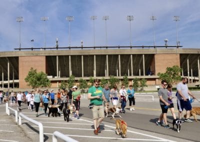 BARK for BARC Pet Walk