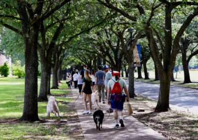 3rd Annual BARK for BARC Pet Walk 2018