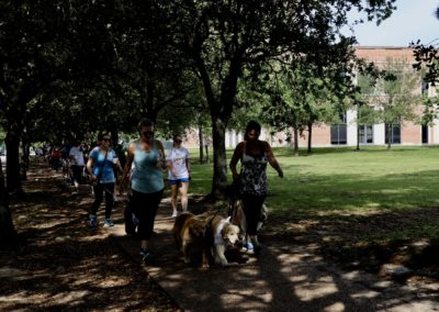 3rd Annual BARK for BARC Pet Walk 2018