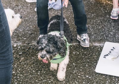 4th Annual BARK for BARC Pet Walk 2019