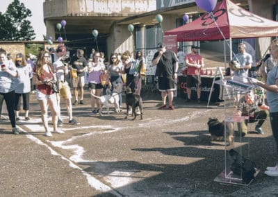 4th Annual BARK for BARC Pet Walk 2019