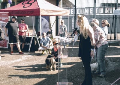 4th Annual BARK for BARC Pet Walk 2019