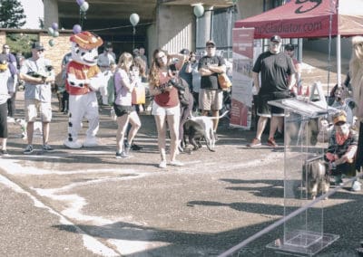 4th Annual BARK for BARC Pet Walk 2019