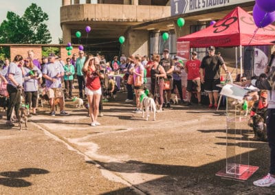 4th Annual BARK for BARC Pet Walk 2019