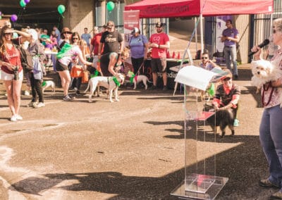 4th Annual BARK for BARC Pet Walk 2019