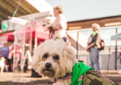 4th Annual BARK for BARC Pet Walk 2019
