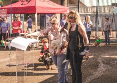 4th Annual BARK for BARC Pet Walk 2019