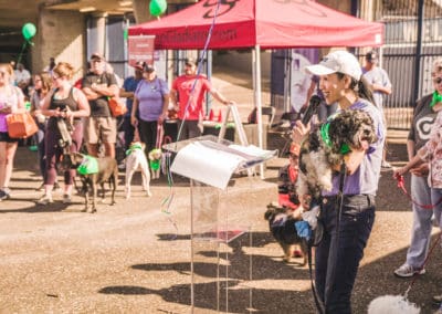 4th Annual BARK for BARC Pet Walk 2019