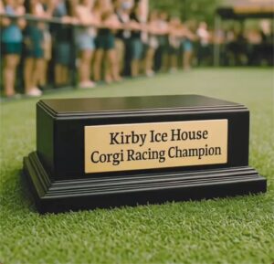 KirbyIceHouse Woodlands CorgiRacing
