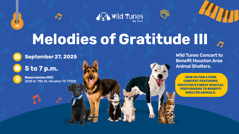 Melodies Of Gratitude III Banner