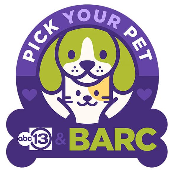 ABC 13 / Pick Your Pet Adopt-o-thon and Market
