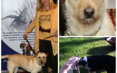 Happy Tail: Sarah