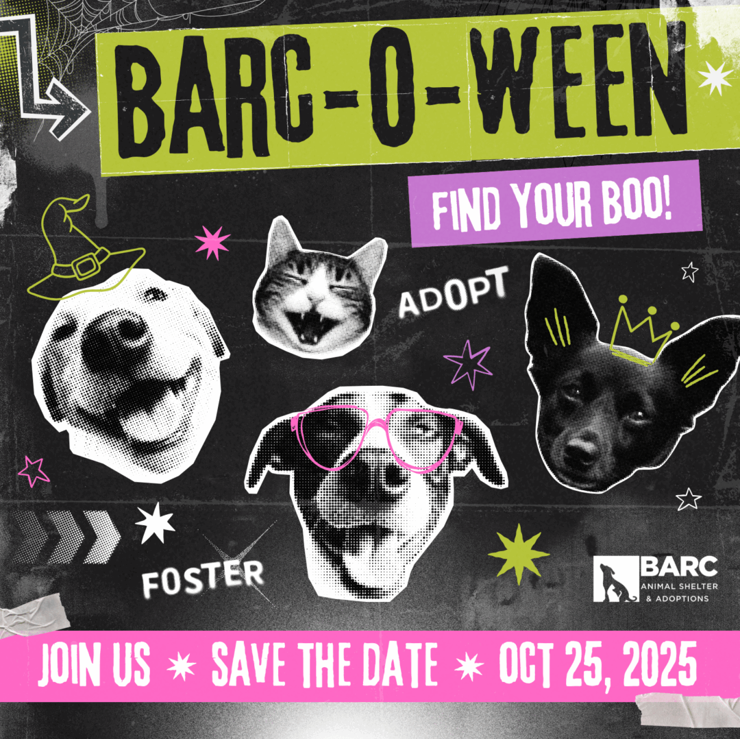 BARC-O-WEEN