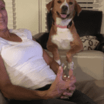 Stella, A Happy Tail